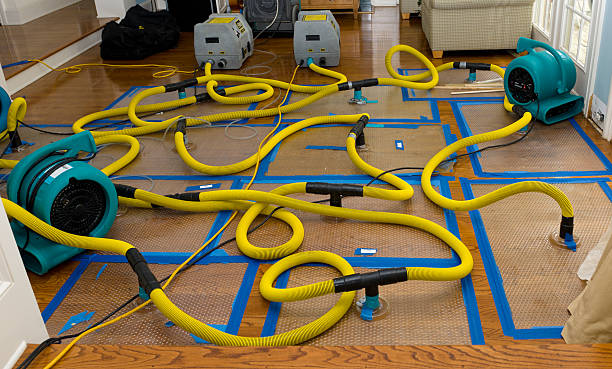 Professional Flood Damage Restoration technician working in Rose, OK